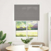 Plisovaná roleta antracitová 100x100 cm Šířka látky 99,4 cm Antracitová 4015075