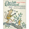 Chci být kytaristou - Lukáš Sommer