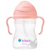 Hrnček, fľaša pre kojenca - B.Box Blueberry Fľaša na vodu (B.Box Blueberry Fľaša na vodu)