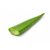 Čerstvé listy ALOE VERA (Aloe Vera) váha cca 600g 1 kus - Španielsko