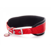 JK Animals Nylonový obojok Comfort s mäkkou výstuhou S (4,7×34-41 cm) Farba: Červená
