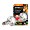 Hagen Exo Terra Intense Basking Spot 100 W