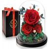 Touloube Večné ruže v sklenenej kupole s LED osvetlením – luxusná dekorácia z troch červených ruží ako darček z lásky