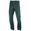 nohavice SALOMON Wayfarer Alpine Pant M Green Gables 48