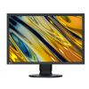 EIZO 24,1