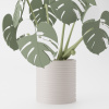 Monstera Magnetica – 3D Tlačená Dekorácia & Podložky pod Poháre Farba listov: zelená, Vyber typ kvetináča: Wave, Vyber farbu kvetináča: biela muted