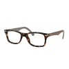 Ray-Ban RX 5228 5545 53/17/140