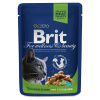 Brit Premium Cat kapsa Chicken Slices for Steril 100g