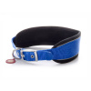 JK Animals Nylonový obojok Comfort s mäkkou výstuhou S (4,7×34-41 cm) Farba: Modrá
