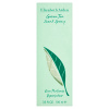Elizabeth Arden EDP Green Tea 100ml