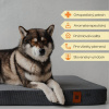 Ortopedický pelech ORTHOPEDIC CORD antracitový L