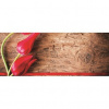 Panoramatická fototapeta - PA0001 - Tulipány 250cm x 104cm - Vliesová fototapeta