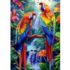 NORIMPEX Diamantové maľovanie Papagáje pri vodopáde 30 x 40 cm