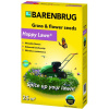 Dekoratívna tráva Barenbrug 25 m² 0,5 kg (Happy Lawn 0,5 kg Barenbrug Okrasný trávnik s miniatúrnymi kvetmi)