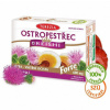 Terezia Company Ostropestrec + Reishi 60 kapsúl