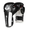 BUSHIDO Boxerské rukavice DBX B-3W - 10oz.