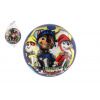 Teddies Lopta Labková patrola/Paw patrol nafúknutá 23cm modrá v sieťke
