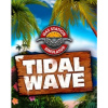 Gas Station Simulator - Tidal Wave | PC Steam