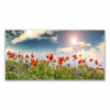 Foto -Hanging Photo 140x70 Meadow Flowers Sun Nature (Foto -Hanging Photo 140x70 Meadow Flowers Sun Nature)
