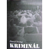 Kriminál - David Irving