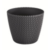 Prosperplast Okrúhly kvetináč SPLOFY 15,7 cm antracit