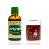 Andrographis (právenka latnatá) - bylinné kapky (tinktura) 50 ml - doplněk stravy