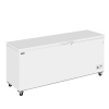 Mraznička na zmrzlinu plné víko | TEFCOLD CF700 SL