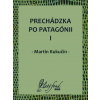 E-kniha: Prechádzka po Patagónii I