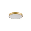 Rabalux 71037 TESIA stropné svietidlo LED 36W