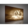 Obraz na plátne obdĺžnik - OB0126 - Kone 80cm x 60cm - O6