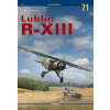 Lublin R-XIII. Army Cooperation Plane