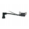 ND ZONGSHEN Zapaľovanie pre motory NP100, NP150, MTD THORX, 100050145, 725-