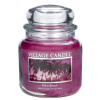 Village Candle Palm Beach 397g - střední vonná svíčka ve skle Palmová pláž