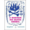 S bubnem na zajíce chodil - Bogdan Suceava