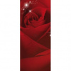Dverová fototapeta - DV0027 - Červená ruža 91cm x 211cm - Samolepiaca fólia