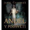 Anděl v podsvětí - Juraj Červenák