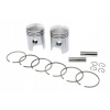 Piesty Jawa 350 638 České ALMET R2 58,50 - sada