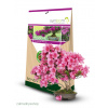 SYMBIOM - Rhodovit Bonsai 100g