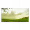 Obrázok s grafikou 140x70 Meadow Natura Green View (Obrázok s grafikou 140x70 Meadow Natura Green View)