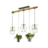 301000367 TRIO PLANT