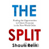 The Split - Shaun Rein