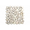 Divero Garth 9523 mramorová mozaika krémová 32 x 32 cm