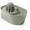 BLIM PLUS Lis na citrusy BLIM PLUS Oblo SM3-314 Forest Medium