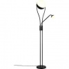 Stojacia lampa TRIO 478310232