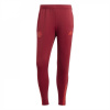 adidas Manchester United Training Bottoms 2023 2024 Adults Burgendy S