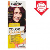 Schwarzkopf Palette Color Shampoo farba na vlasy Čokoládovohnedý 4-99 (301)