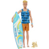 Mattel BRB KEN SURFISTA S DOPLNKAMI