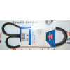 Drážkový řemen BMW - MITSUBISHI - OPEL - RENAULT (5PK1125 AUDI 079903137AB BMW 11281401159 CITROËN 95006268 DAIMLER A0149977492 MITSUBISHI M616942 MITSUBISHI MB813251 MITSUBISHI MN813251 NISSAN 117200