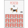 Pexeso Psi - Jana Uhlířová