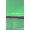 Schopenhauer: A Very Short Introduction